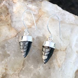 ORTHOCERAS FOSSIL 925 sterling silver earrings